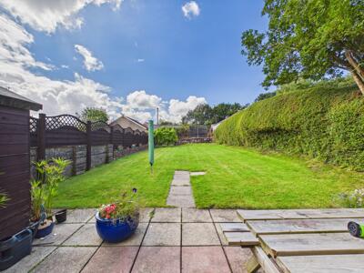 Picture 13